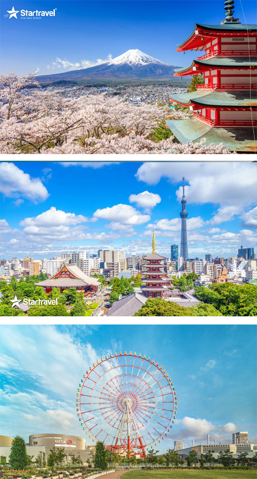 Ngày 01: HỒ CHÍ MINH – NARITA (Ăn sáng, trưa, tối)